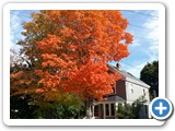 New England autumn colours