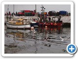 Gulls in the harbour