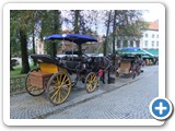 The carriages of Bruges