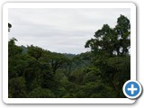 View from top of rainforest