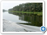 The Tortuguero canals