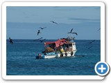 Fishing boat and frigatebirds