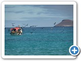 Another shot of the fishing boat surrounded by frigatebirds