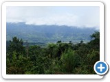Views from the edge of the cloud forest