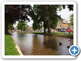 River Windrush in Bourton