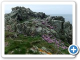 Lihou coastline 