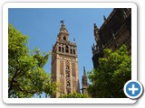 The Giralda (former minaret converted to bell tower). Begun 1184 