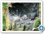 Bird's nest in the cliff walls