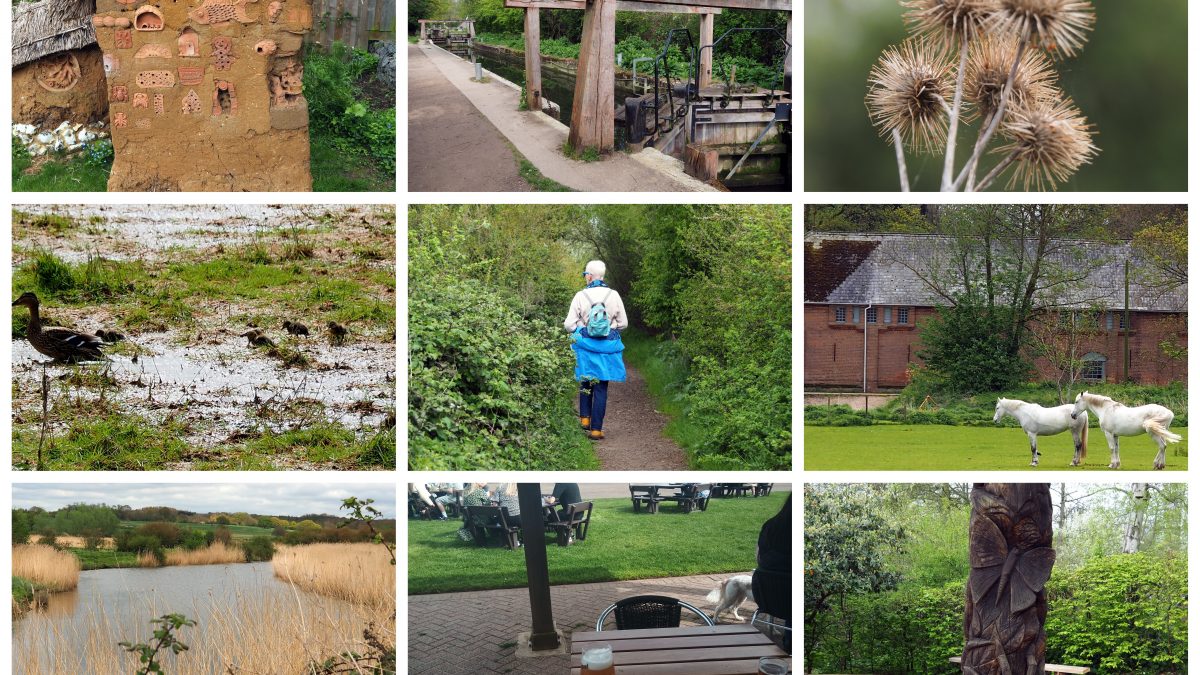 Flatford Mill trek and Shotley "Beer"