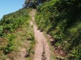 The coastal path