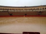 The Bullring at Plaza de Toros de la Maestranza